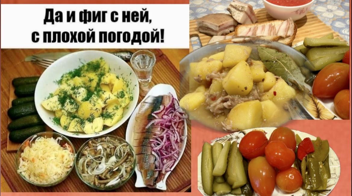 "-НЕеее, с головой Я не дружу!"🤣Юморные картинки для отличного настроения до слёз и вкусный УЖИН тушёный картофель по бабушкиному рецепту