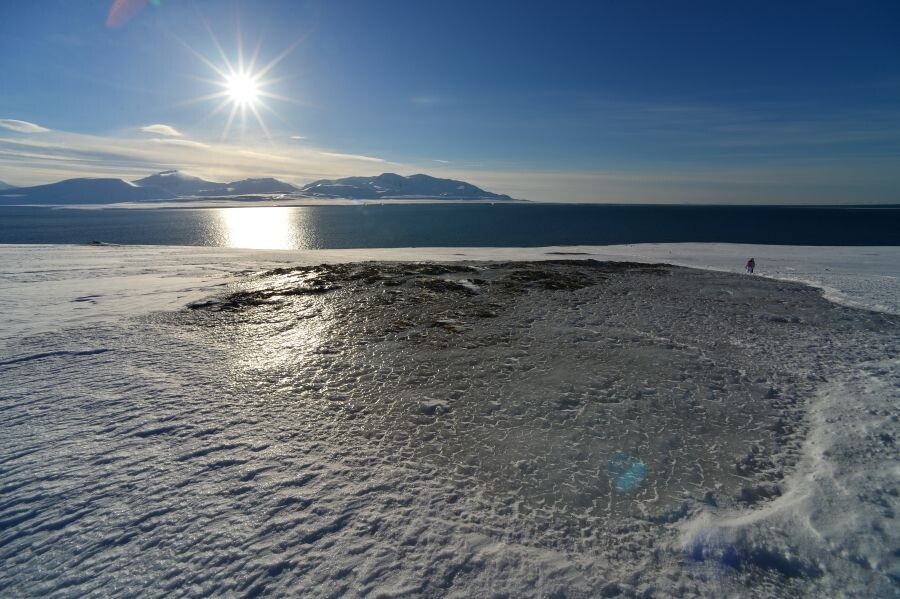     / Источник: ©РИА Новости/Александр Ковалев