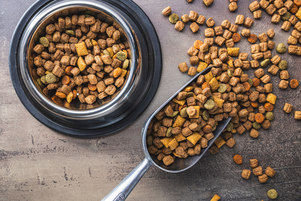 Источник фото: Canva