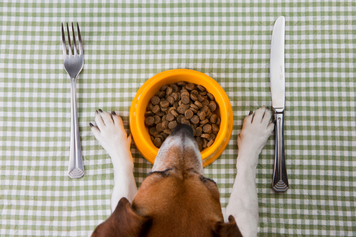 Источник фото: Canva