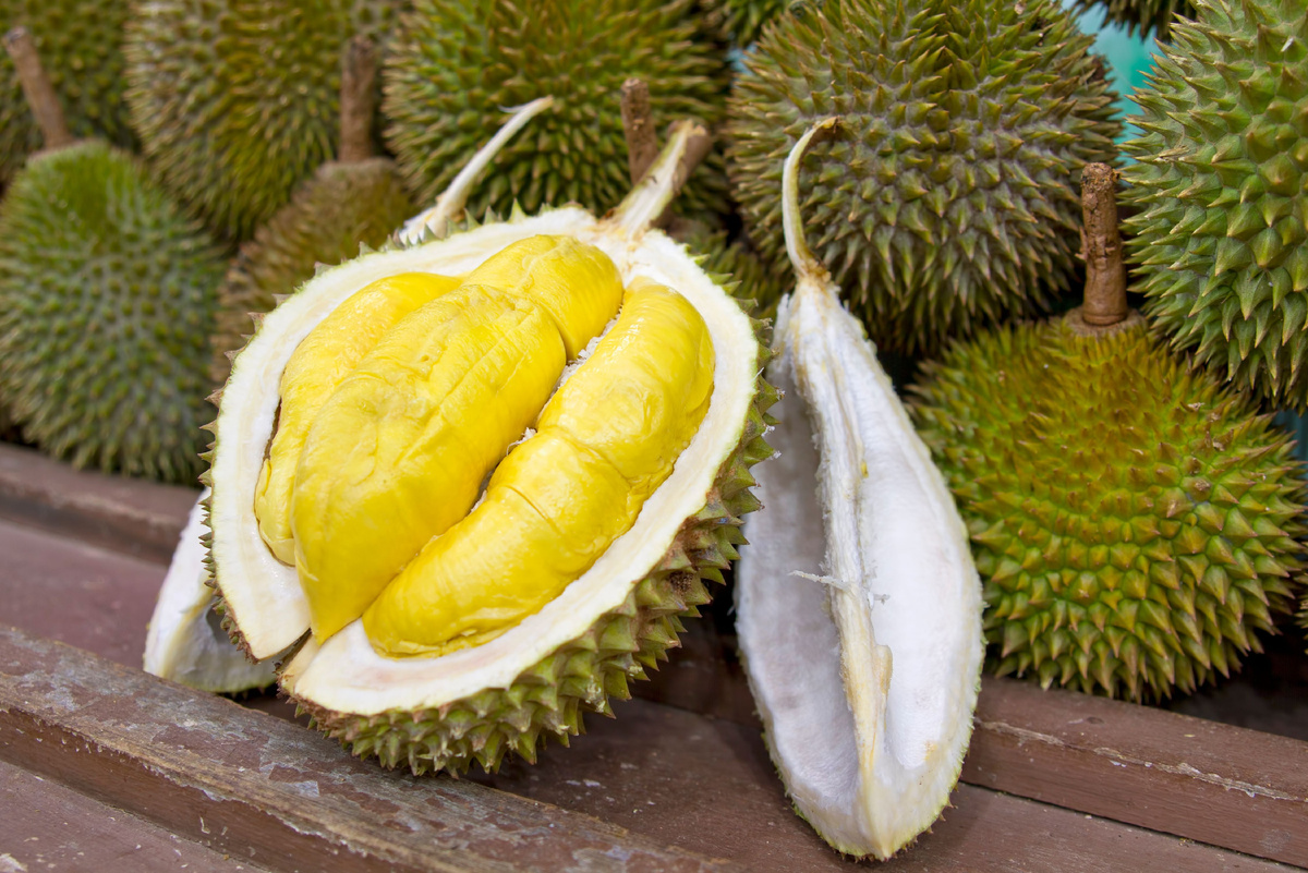 Источник фото: Canva