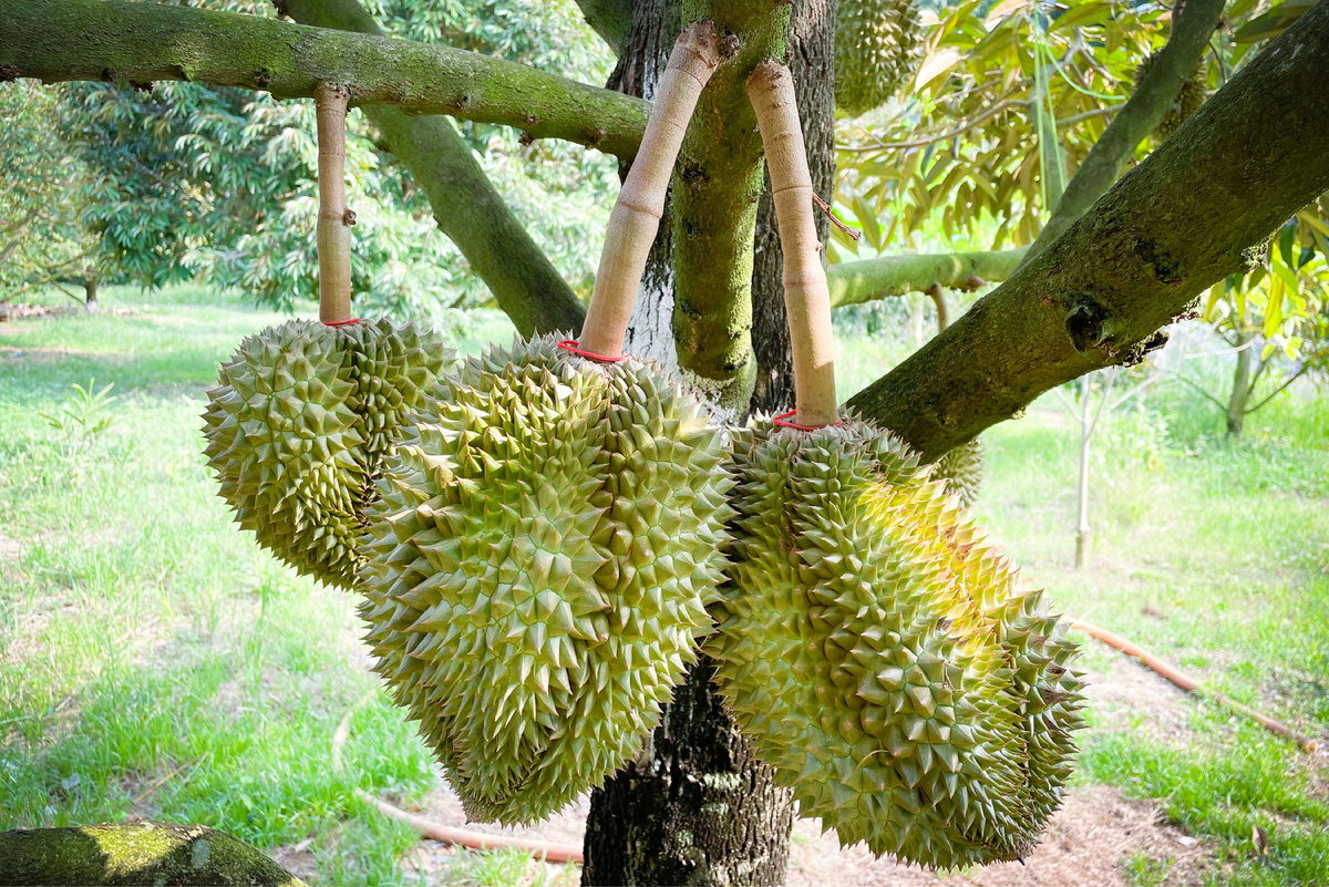 Источник фото: Canva