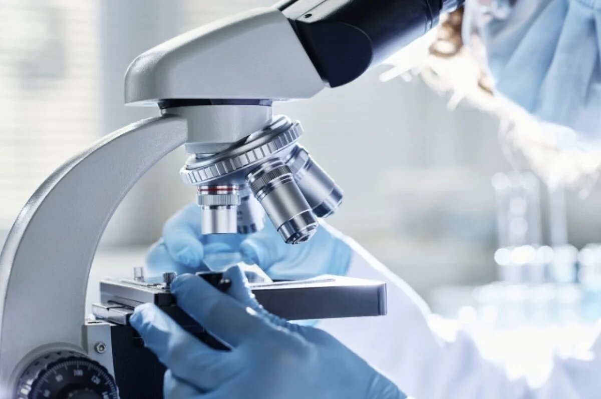    В Новосибирске определили структуру новых вирусов, передаваемых клещами