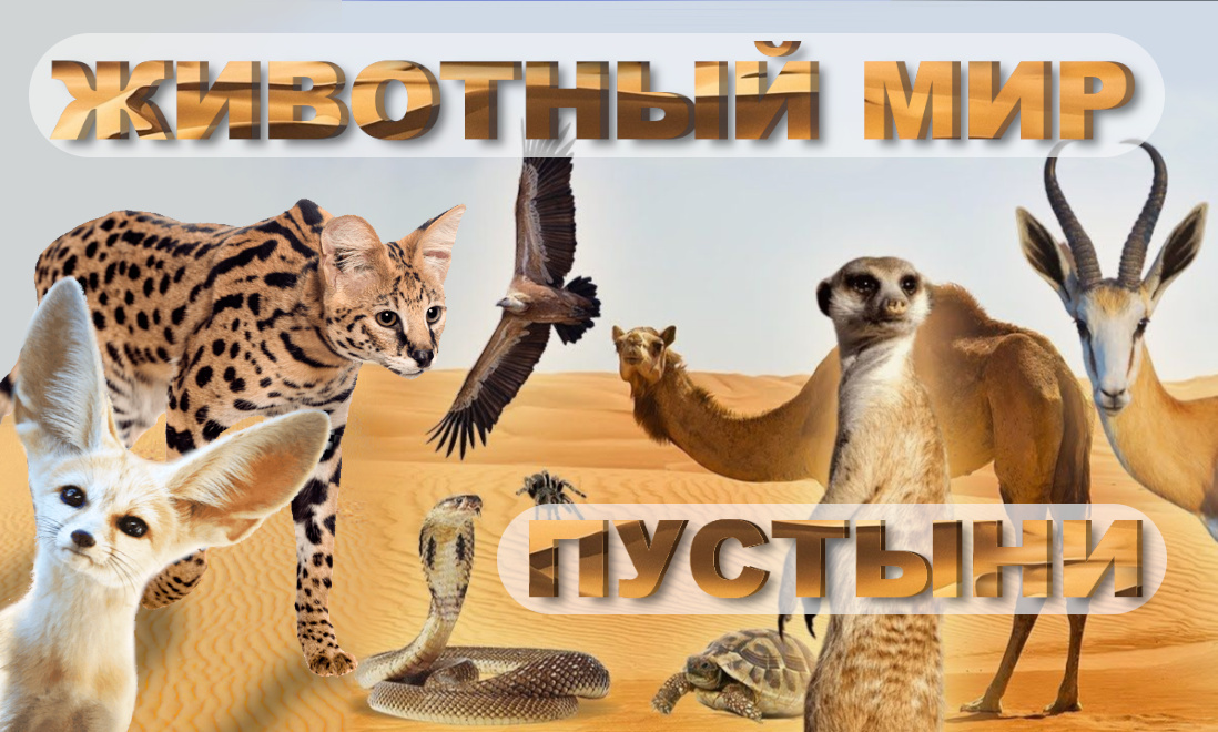 пустынные животные