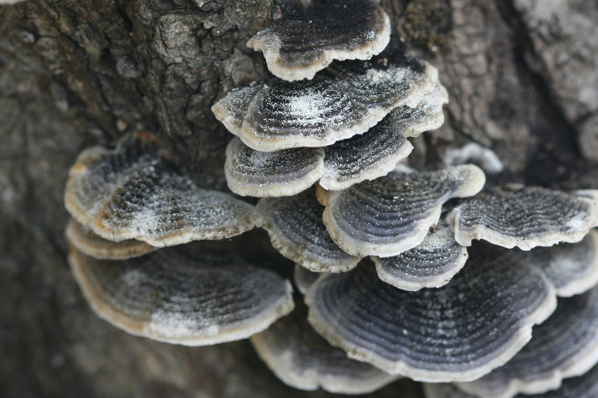 Картинка с бесплатного фотостока https://unsplash.com, автор Suyash Batra