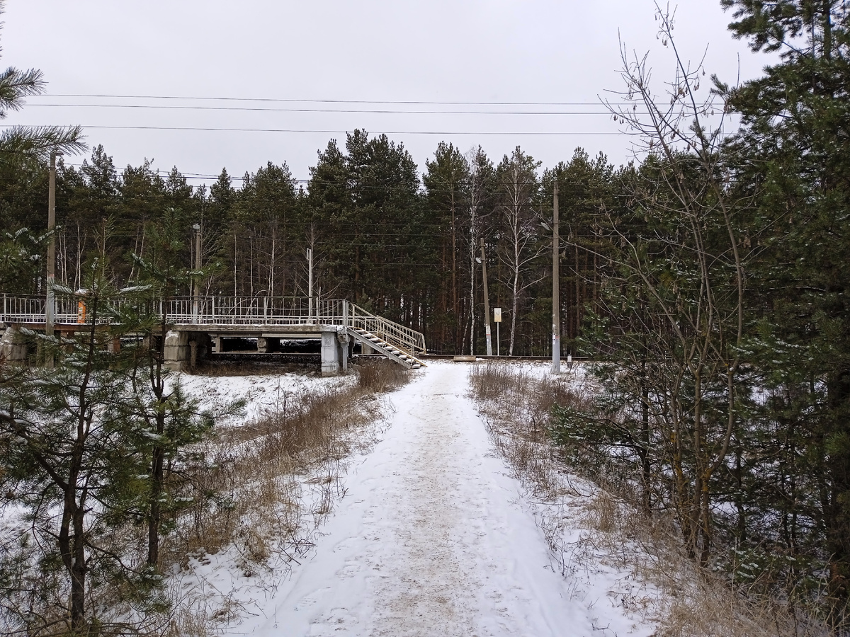 Подходим к пл. Туголесье со стороны пос. Туголесский Бор.
