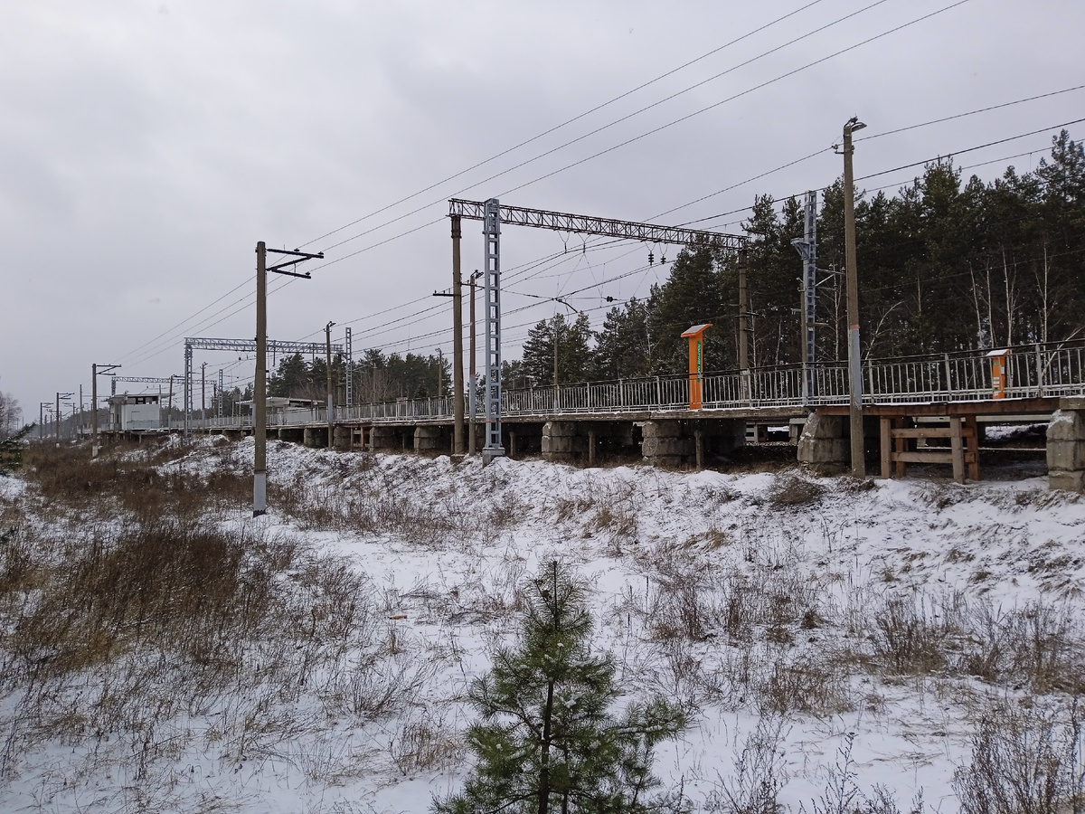 В галерее - несколько видов на платформу и ее окрестности. Да, куда же без кучи общих планов, особенно, если пассажирский успешно усвистал из-под носа, чем меня расстроил в моменте. Впрочем, поезда все равно попали в объектив камеры моего телефона!