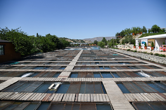 Фото: Николай Михальченко/ТАСС