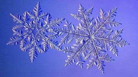 Фото из открытого источника Интернета