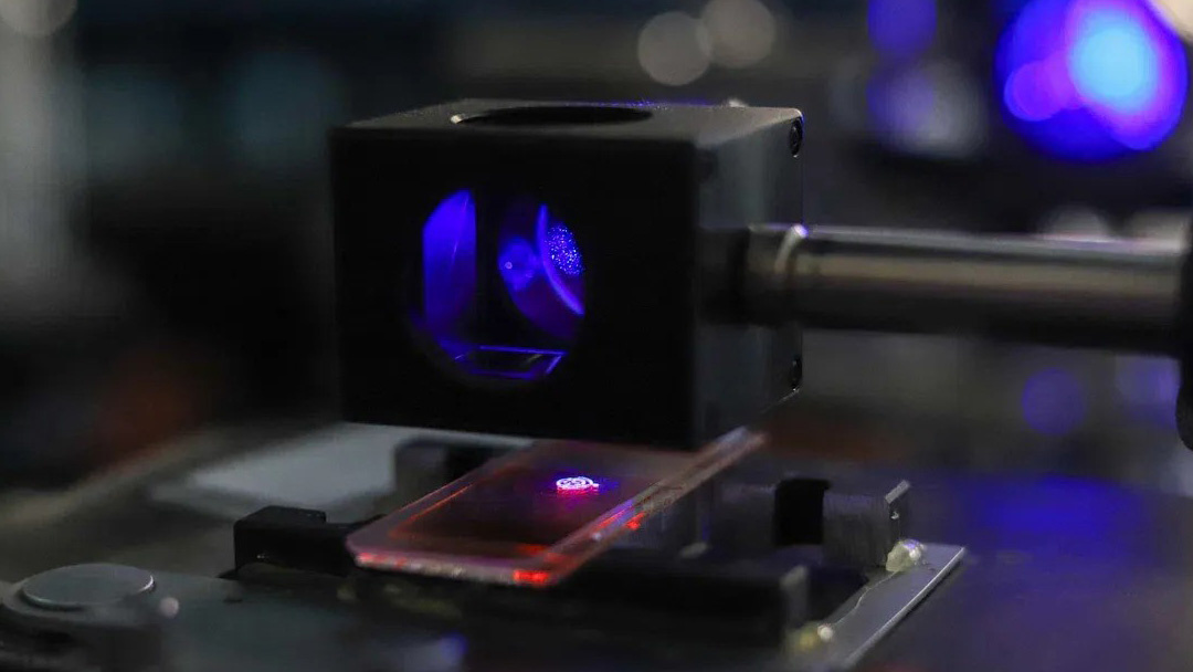 Фото: Балтийский федеральный университет