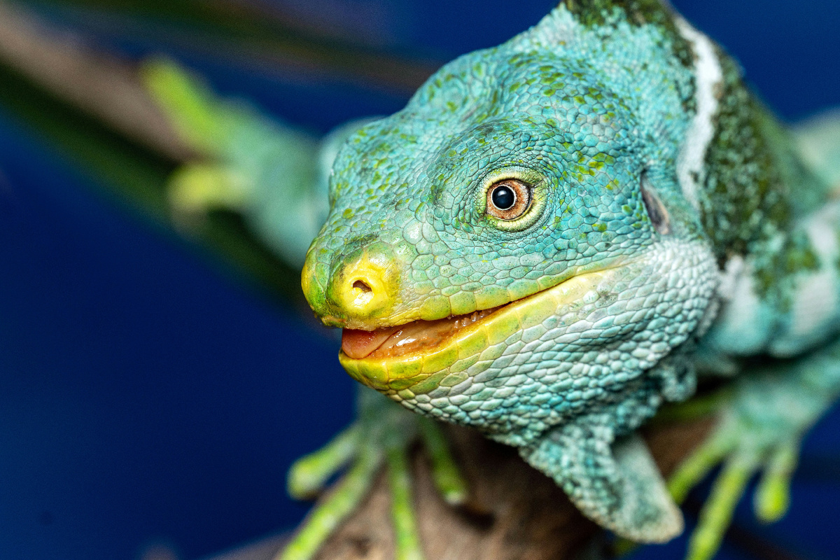 Картинка с бесплатного фотостока https://unsplash.com, автор David Clode