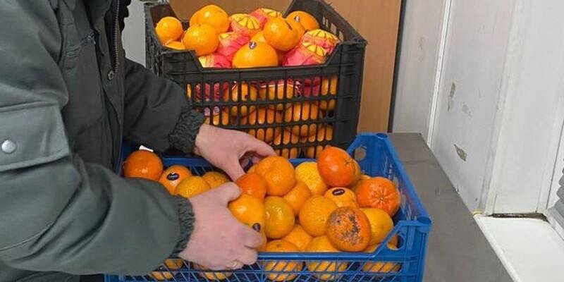    Фото: пресс-служба Южного межрегионального управления Россельхознадзора