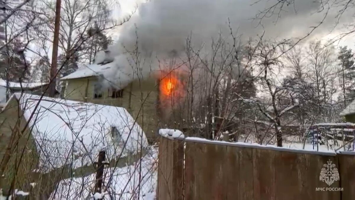    Фото: пресс-служба МЧС Ленинградской области