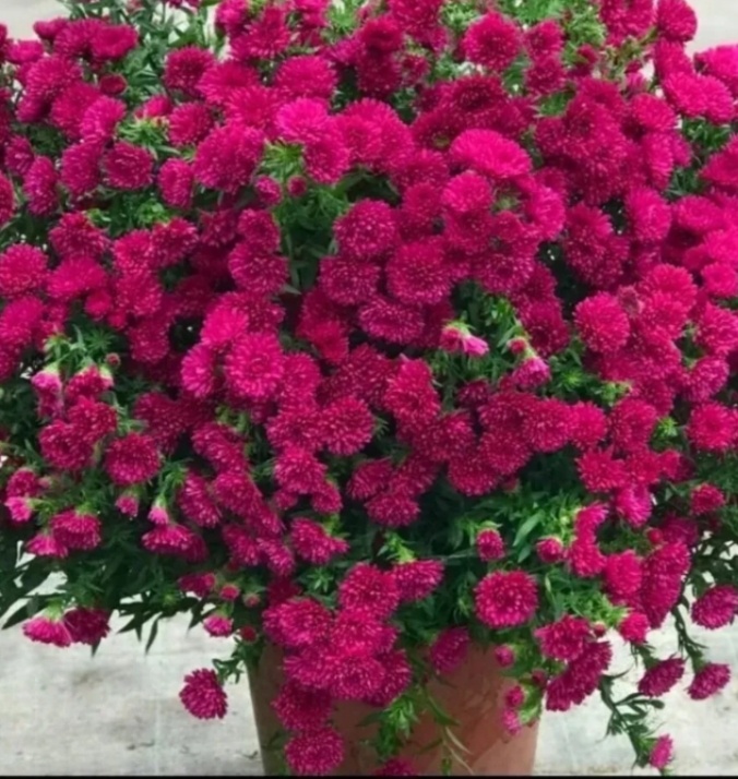 Фото интернет.