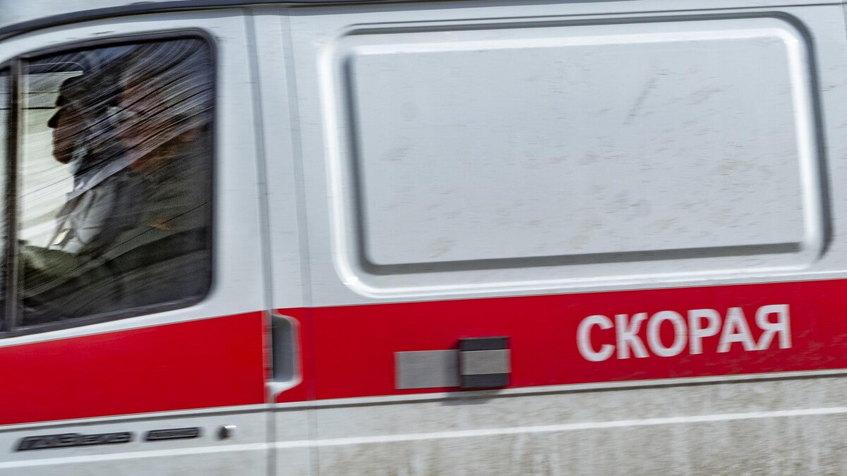    Фото: ИЗВЕСТИЯ/Константин Кокошкин