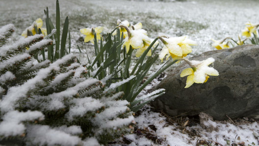    Фото: Nikolay Gyngazov/Global Look Press
