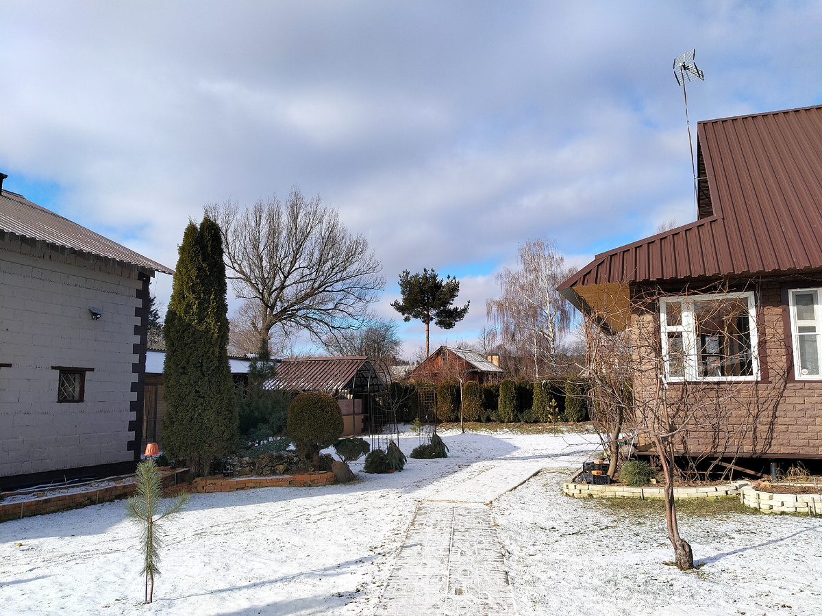 Вот такой у нас февраль 2025. Фото автора @Маша Генералова