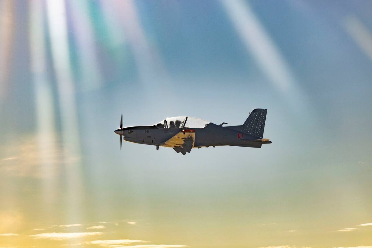 Фото: УЗГА  📷
