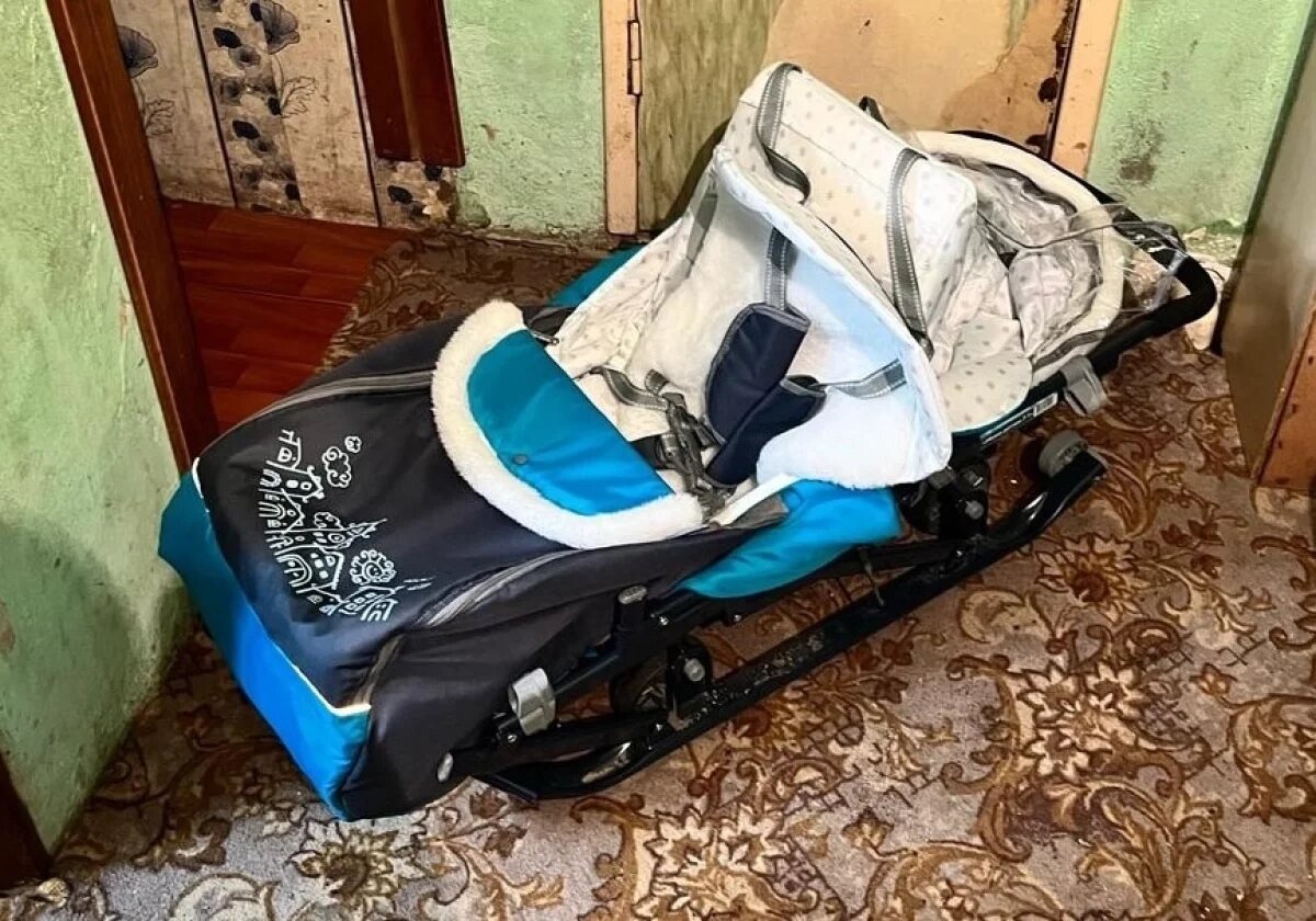    Женщину подозревают в краже детских санок-коляски в Богородицке