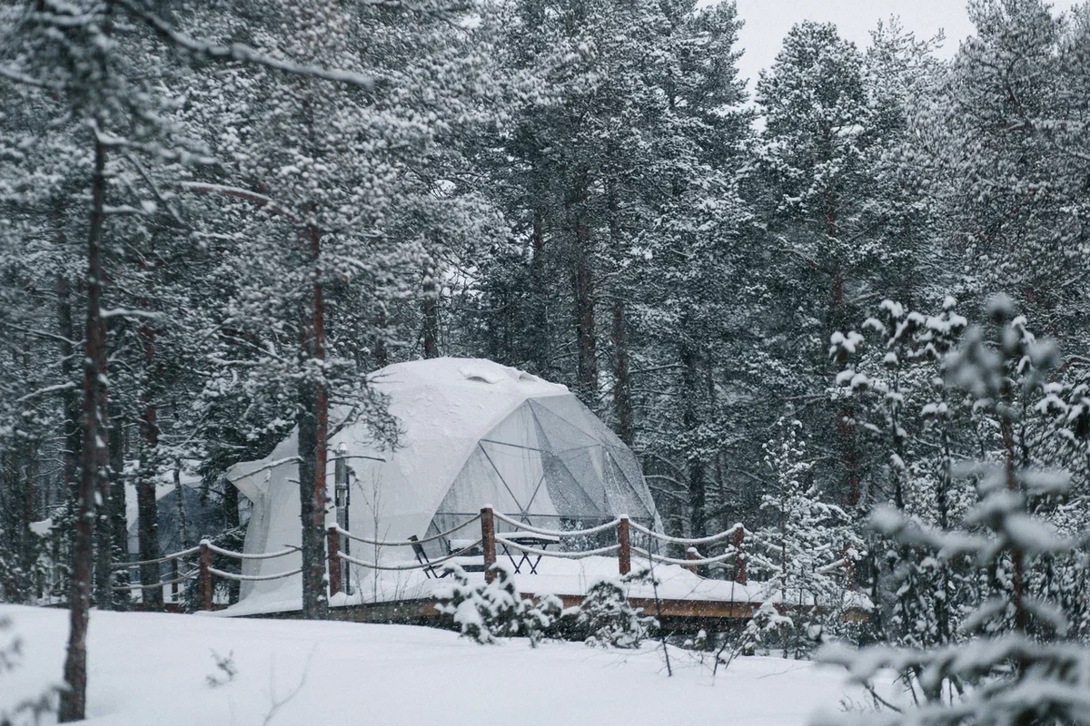 Глэмпинг Lago Ladoga / Naturalist.Travel