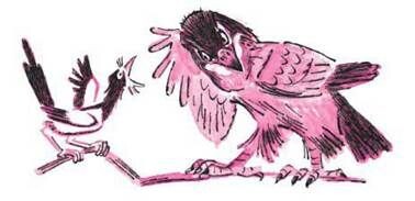 Из источников интернета 