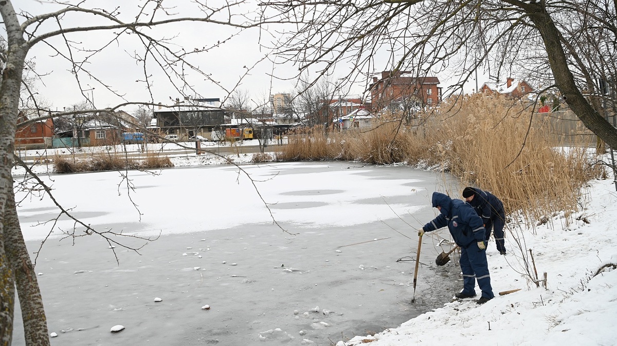 Фото: Андрей Зубов