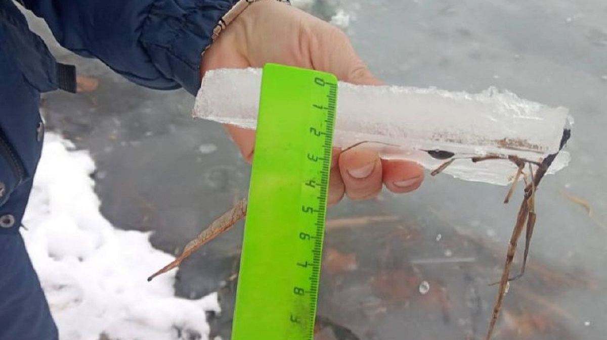 Фото: пресс-служба администрации Краснодара