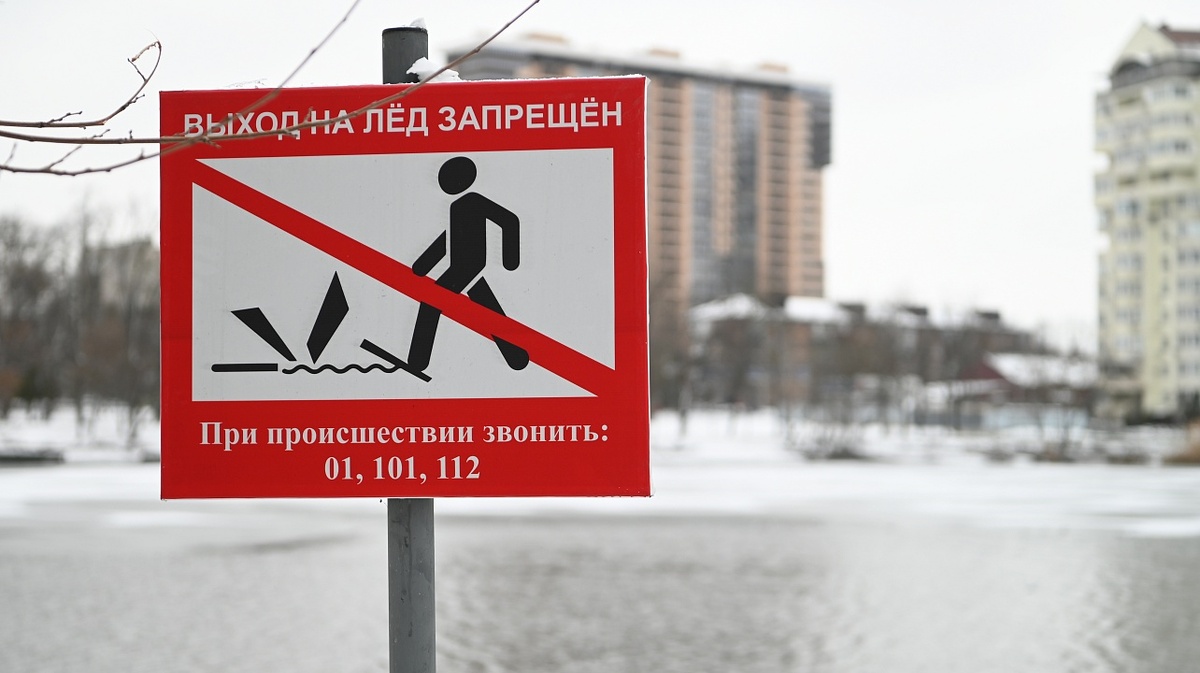 Фото: Андрей Зубов