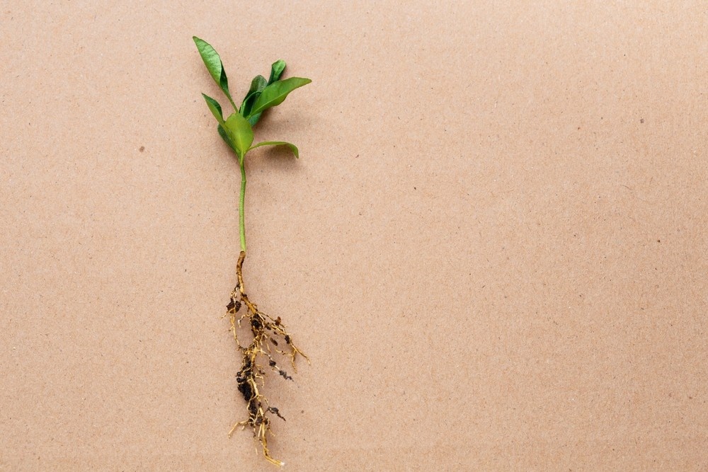    ShutterStock/Fotodom.ru