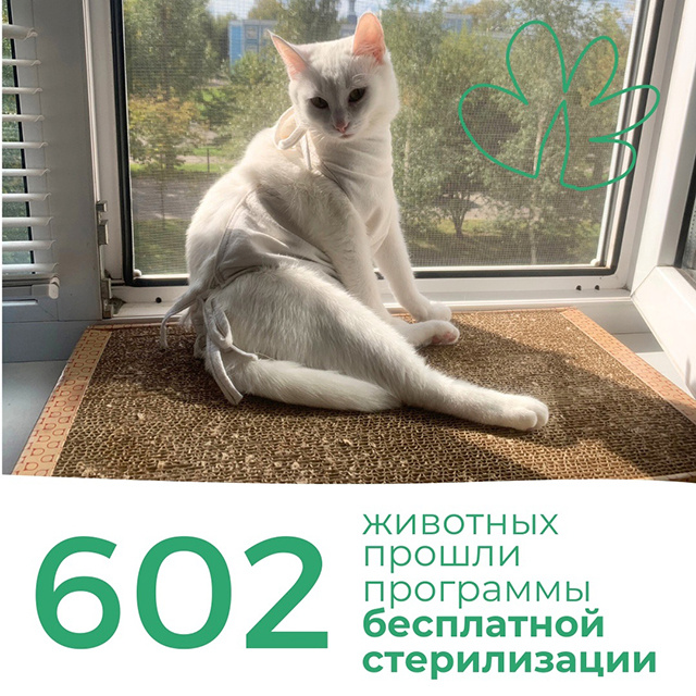 Как помогли животным в Тверской области пережить беду, найти дом, вылечиться