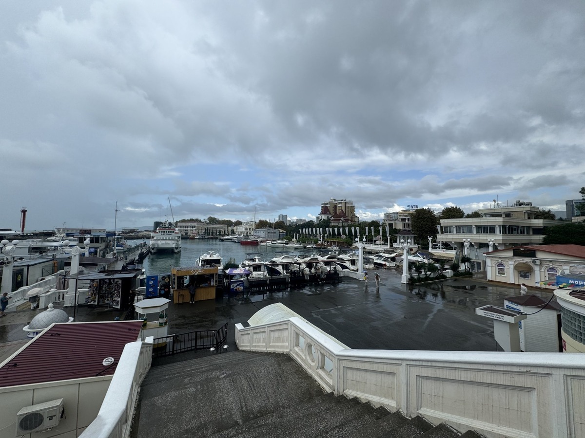 фото: Сочи 24  📷
