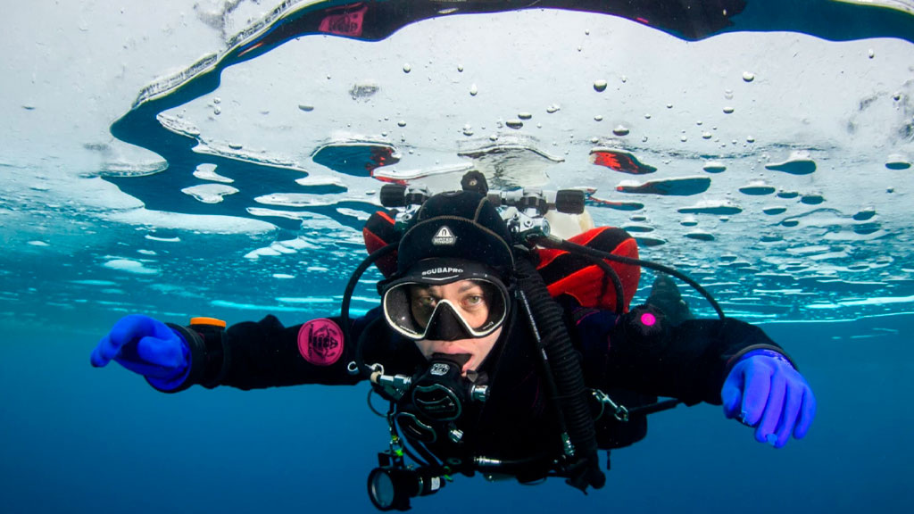    Автор фото Елена Малафеева