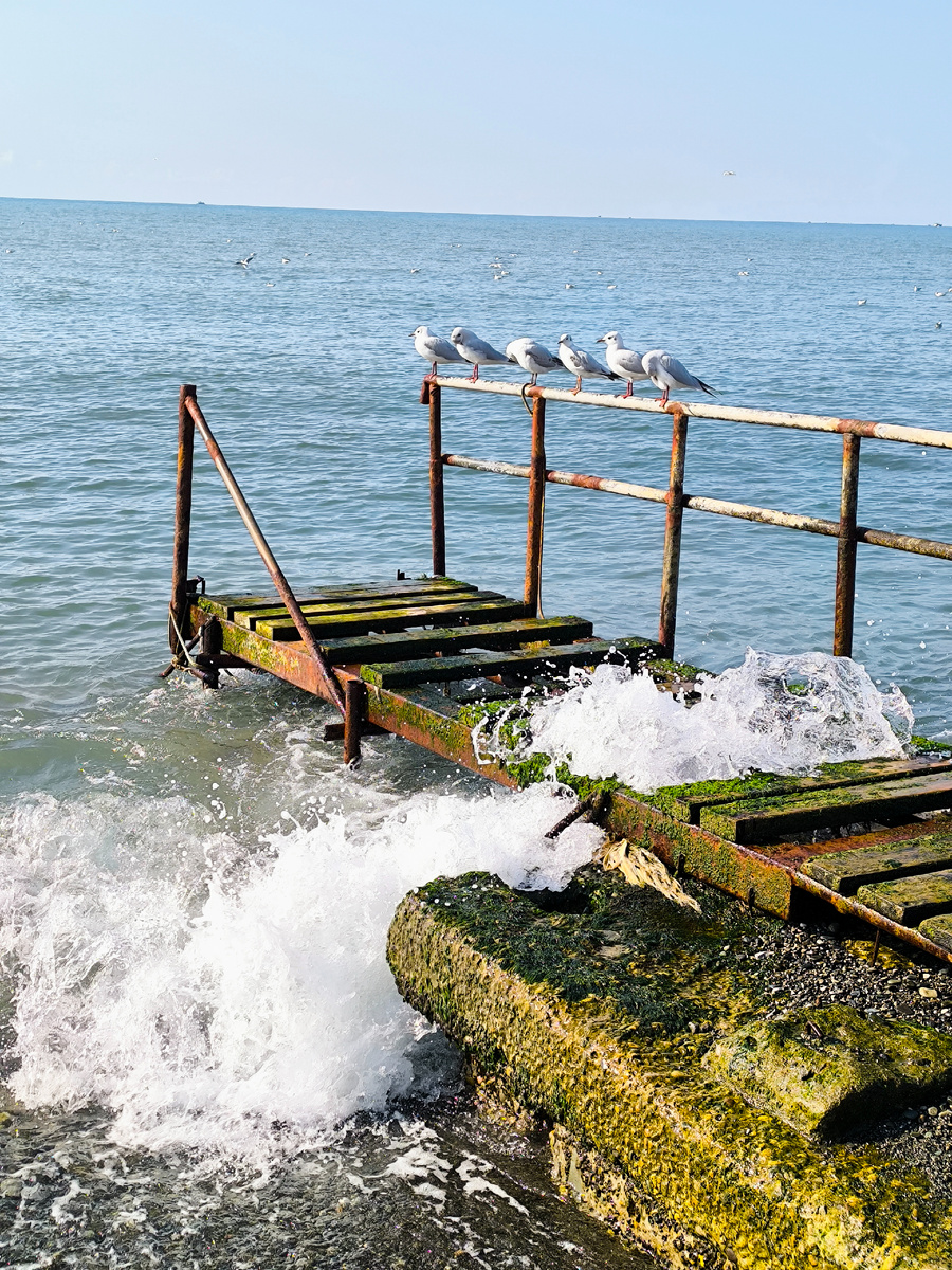 Здесь и далее фото автора канала.