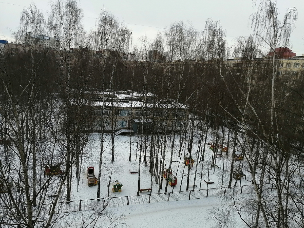 Фото автора канала от 17.02.2025