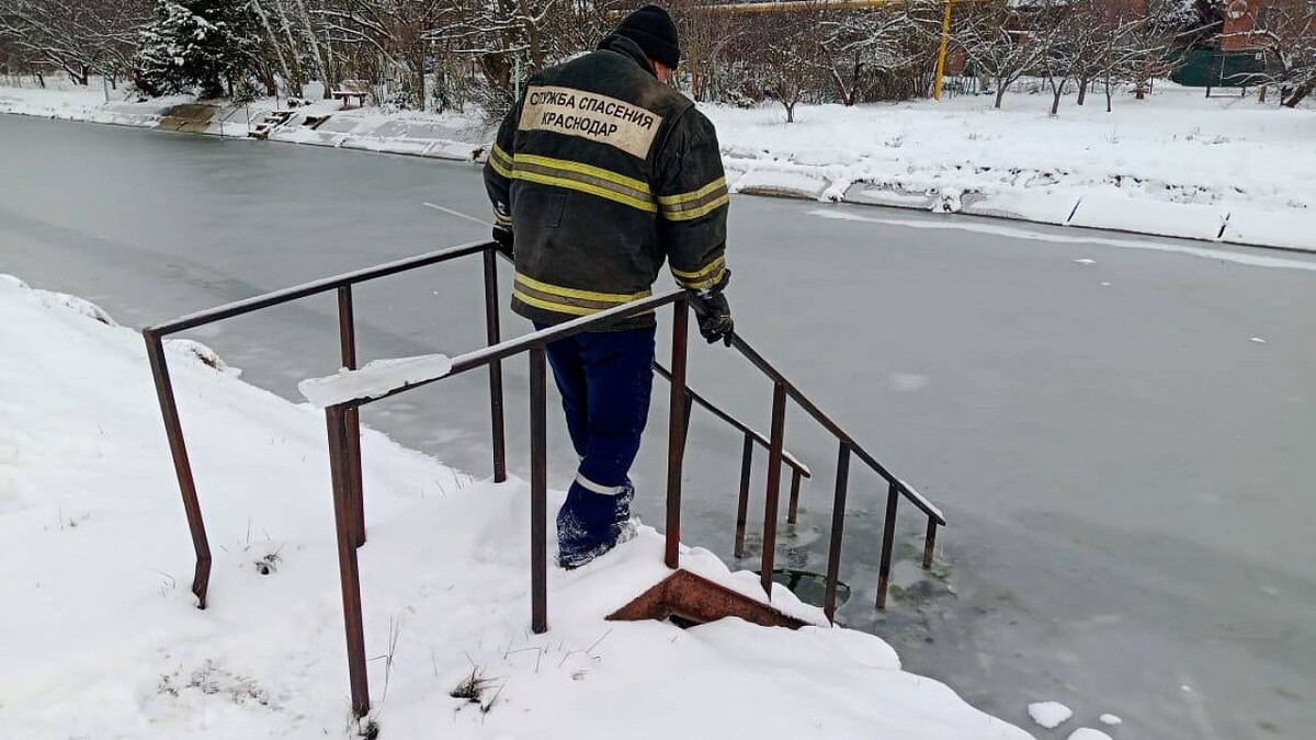    Фото: t.me/emnaumov