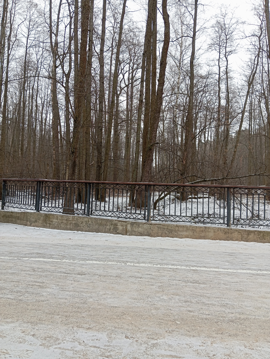 Снег  Фото Мурзилки