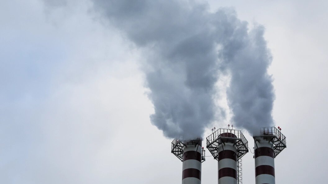    Фото: Belkin Alexey/news.ru/Globallookpress