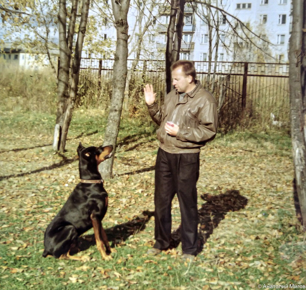 Толя с доберманом Жаном на собачьей площадке