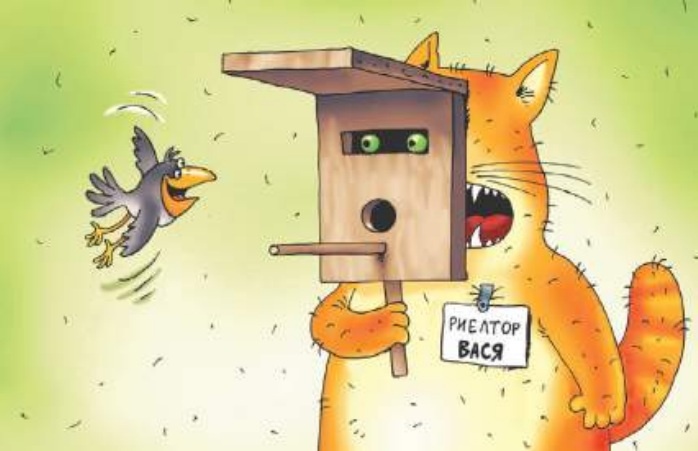 Фото: Катерина Мартинович.