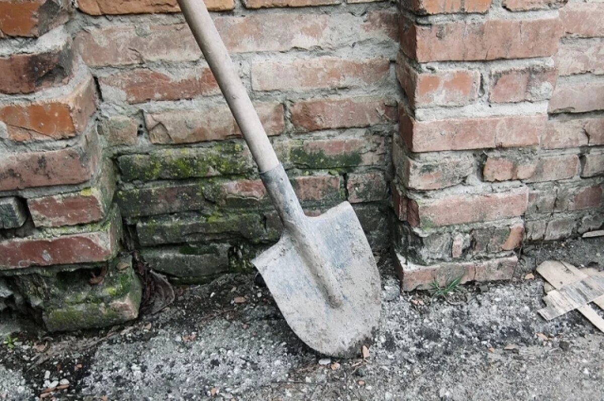    В Воронеже в третий раз сорвались торги на благоустройство «Тенистого»