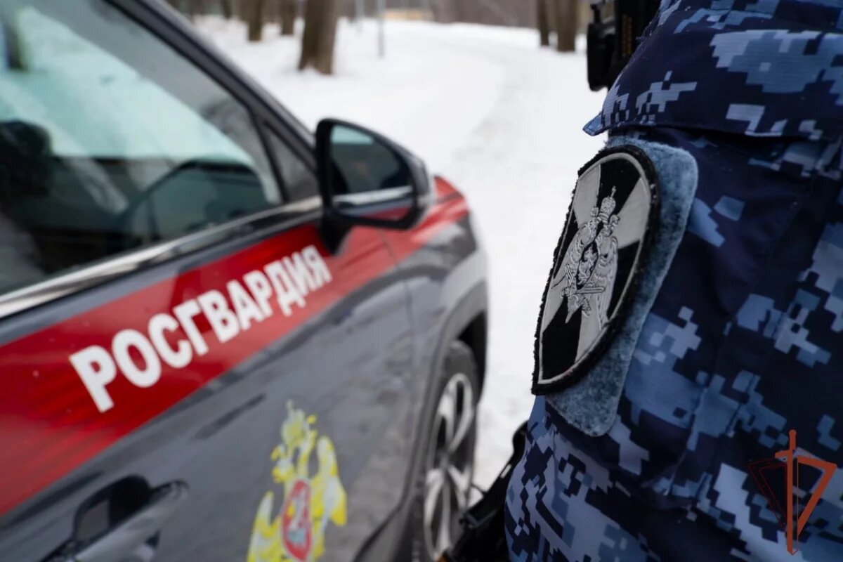    31 единицу оружия изъяли росгвардейцы в Псковской области за неделю