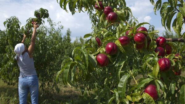    © Sputnik / Сергей Мальгавко