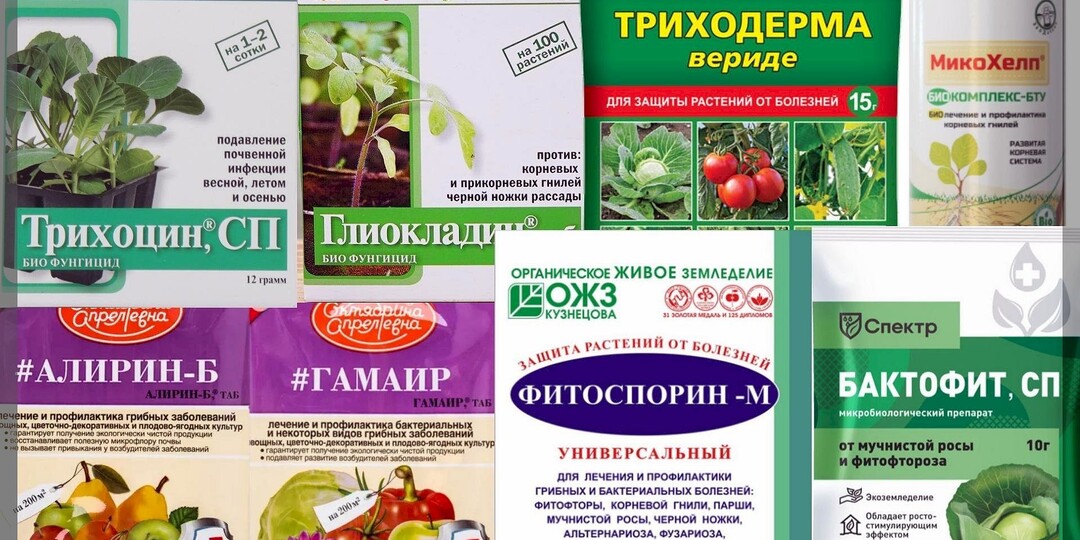 Биопрепараты от А до Я: подробный ликбез по биопрепаратам в вопросах и ответах. Часть 10
