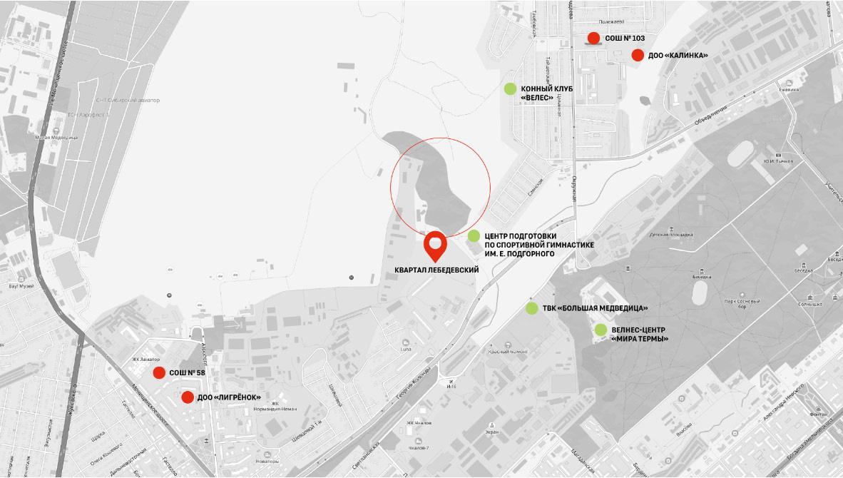    Фото предоставлено Брусникой