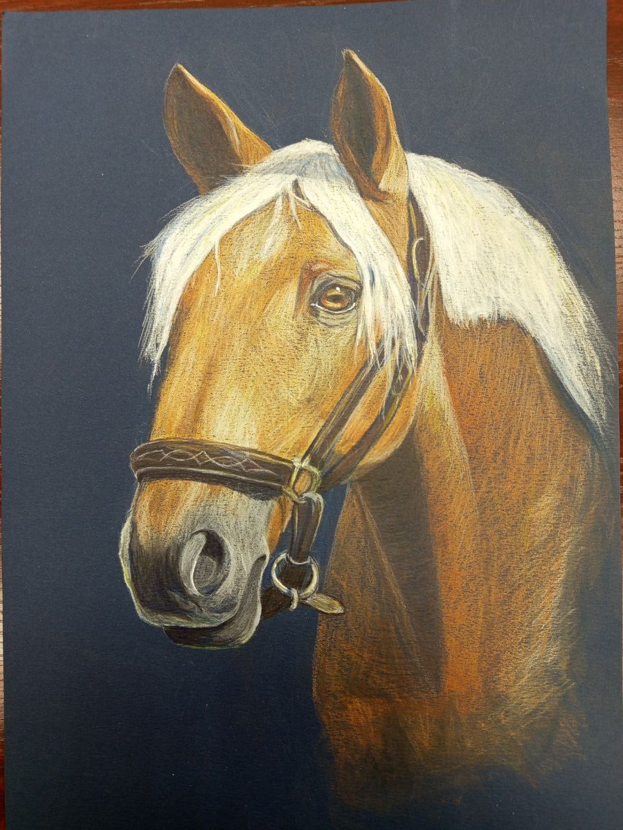 Рисунок Алёны Зулькарняевой https://vk.com/zulkarniaeva