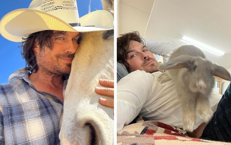    Фото: соцсети