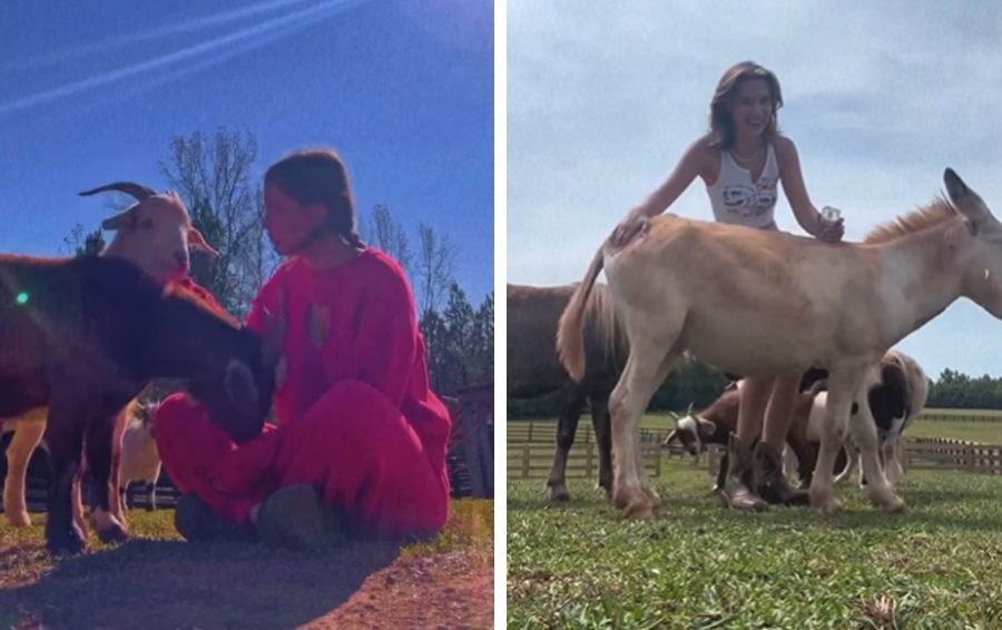    Фото: соцсети