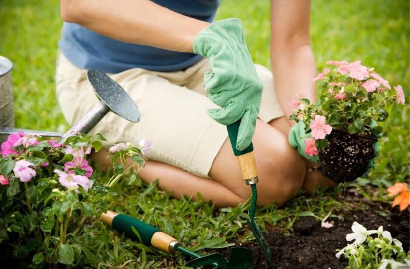 Фото из открытых источников