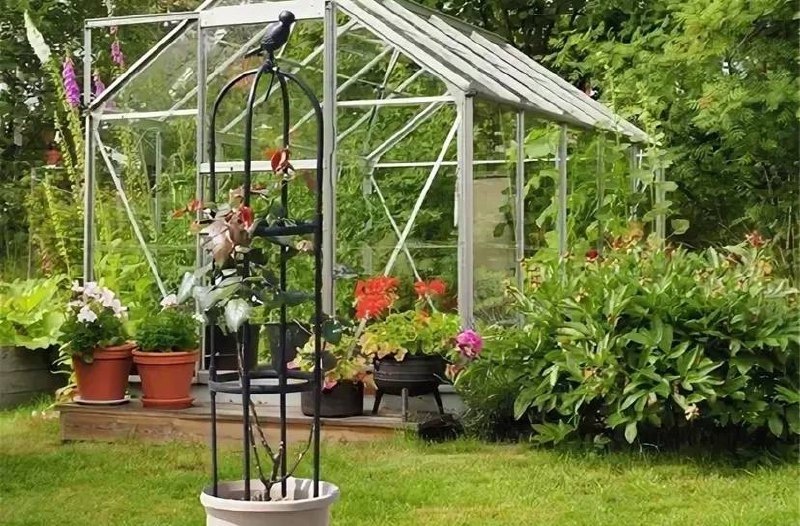 Фото из открытых источников