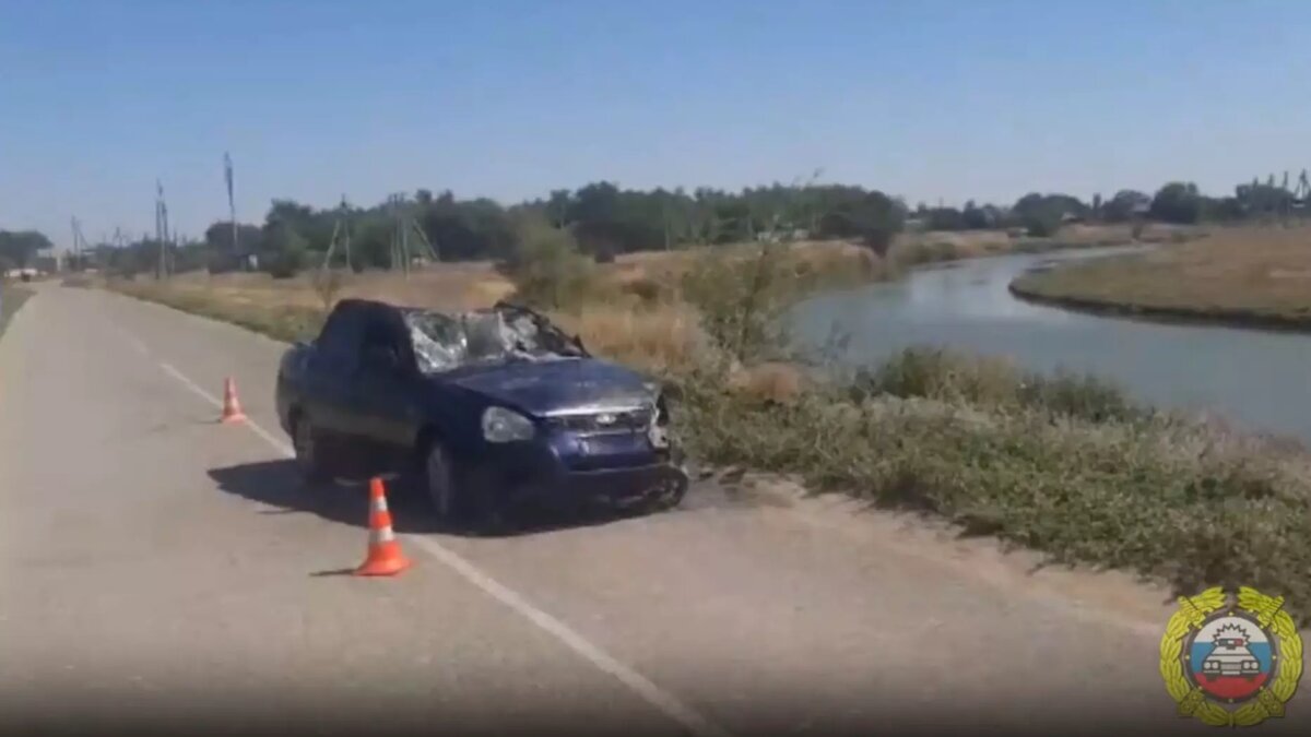     Источник: ГУ МВД по Волгоградской области